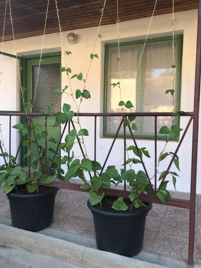 באלאטונסארסו Nest Apartman מראה חיצוני תמונה